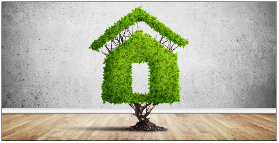 Projet Technologique Green Home